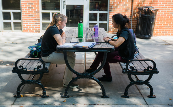 Two students on either side of a picnic table with laptops