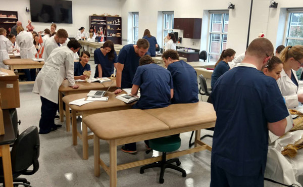 Several groups of students in blue scrubs and white coats gathered around examination tables